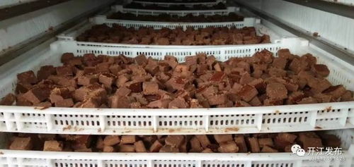 四川開江 甘蔗產(chǎn)業(yè) 帶動(dòng)農(nóng)民增收致富