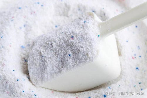 家里有螞蟻不用開水燙,教你4個(gè)妙招,螞蟻不敢來你家,安全管用